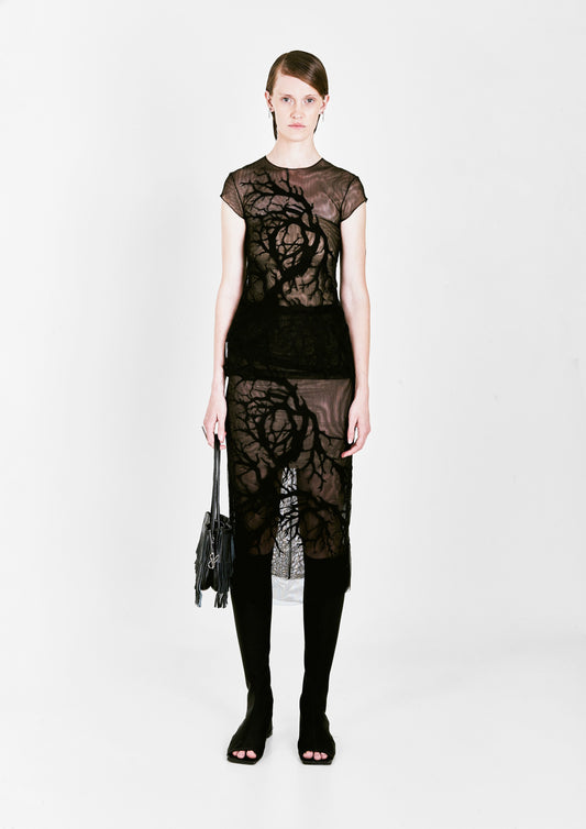 SAIA ÁRVORE LONGA DE TULE